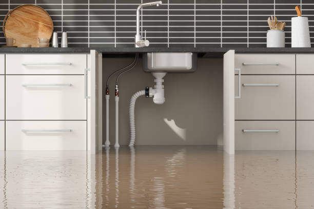 Best Commercial Water Damage Restoration in USA